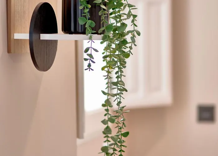 ゲストハウス Casa Vestali グラナダ